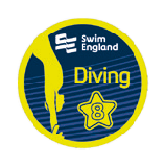 Diving Stage 8 