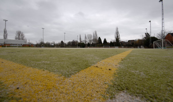 Synthetic Pitch