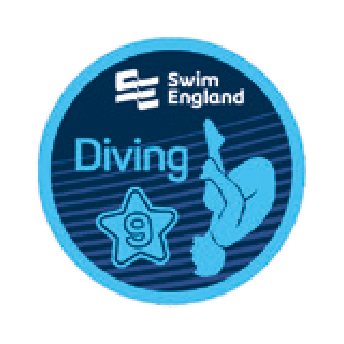 Diving Stage 9 